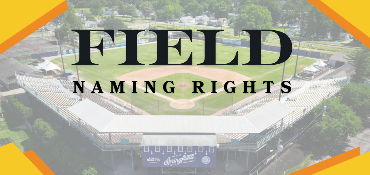 Seek Naming Rights Partner for Field Renovation