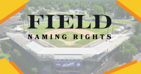 Seek Naming Rights Partner for Field Renovation