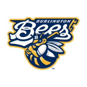 Burlington Bees